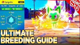 ULTIMATE Breeding Guide for Shiny Pokemon IVs & More - Pokemon Scarlet and Violet