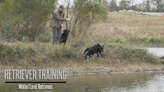 LandWater Retriever Training Drills with Brookstone Kennels