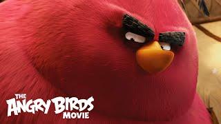 The Angry Birds Movie - Clip Meet Terence