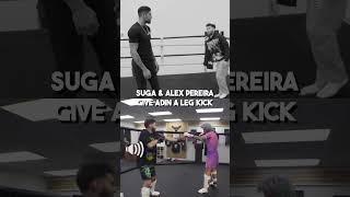 Alex Pereira & Sean OMalley Leg Kicking Adin Ross