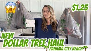 DOLLAR TREE HAUL  NEW  PANAMA CITY BEACH  NEW BRAND NAME ITEMS
