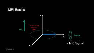 Introduction to MRI Basics 1 - How we get Signal