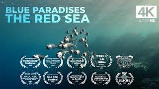 Diving THE RED SEA - Egypt - Underwater Video 4K - BLUE PARADISES S01