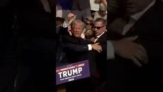 Secret Service rushes Trump off stage during PA Rally