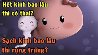 Sạch kinh mấy ngày thì có thai? Hết kinh mấy ngày thì rụng trứng