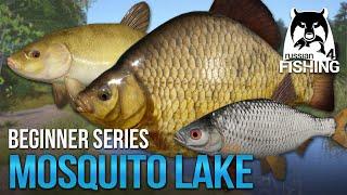 Lvl 1-15 Mosquito Lake 2022 Starting Equipment & Recommendations Ep. 2 l Russian Fishing 4