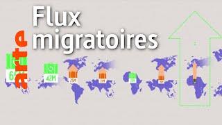 Les principaux flux migratoires vont-ils de lAfrique vers lEurope ?  Data Science vs Fake  ARTE