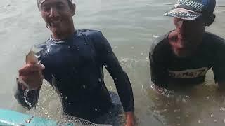 Njaring ikan belanak di nusa kambang# masih melimpah ruah