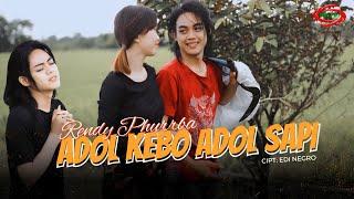 Rendy Phurrba - Adol Kebo Adol Sapi