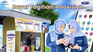 Tutorial Cara Cek Dan Bayar Tagihan Indovision  KIOS PULSA