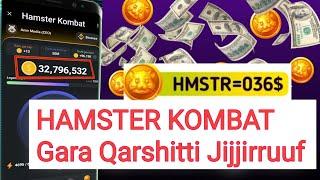 HAMSTER KOMBAT Gara Qarshitti Jijjiirruuf  HAMSTER KOMBAT In Ethiopia 