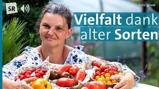 Tipps für die Tomatenzucht Tomatenexpertin und Sortenretterin Katrin Gödtel im Gespräch  PODCAST