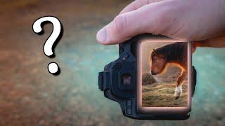 Are you asking this question before every photo?