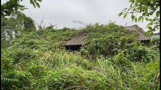 Cleaning the HOUSE is MORE than 100 YEARS old Overgrown wild Trees cover the whole house  CLEAN UP