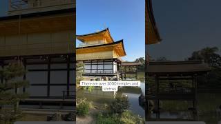 4 Fun Facts about Kyoto Japan 