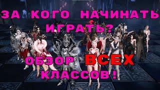 Lost Ark. За кого начинать играть? Обзор ВСЕХ классов