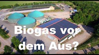 Das drohende Aus der Biogasanlagen in Deutschland am Beispiel der Biogasanlage in Gehrden-Lenthe