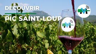 À la découverte du vignoble de Pic Saint-Loup