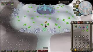 OSRS Vorkath - lowmid level ironman rune crossbow vorkath kill