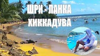 Хиккадува. Удивительный мир. Обзор отдыха цены пляжи экскурсии.