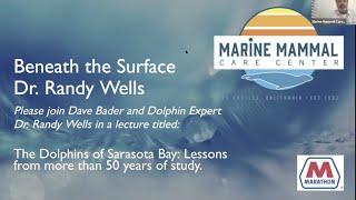 Beneath The Surface The Dolphins of Sarasota Bay With Dr. Randy Wells