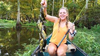 2 HOURS of BIG BLUEGILL & RED-EAR Catch and Cooks -- How To Slay Bream All Year Long