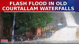 WATCH Sudden Flash Flood In Old Courtallam Waterfalls In Tamil Nadus Tenkasi  Tamil Nadu News