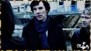 Sherlock - Animals