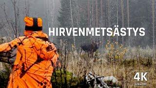 Hirvenmetsästystä 2018  Moose hunting  Sub ENG 