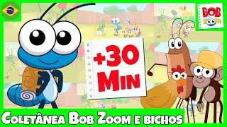 Coletânea Bob Zoom e os Bichos  l @Bob Zoom​ l Vídeo Infantil Oficial  Cantigas para dançar