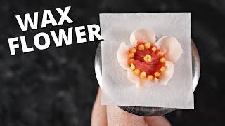 How to pipe buttercream wax flower  Cake Decorating For Beginners 
