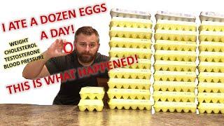 I Ate A Dozen Eggs A Day - Here Is What Happened To My Weight Cholesterol Testosterone and More