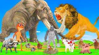 Monster lion mammoth vs mammoth elephant fighting cow Cartoon Gorilla Patila wild animal battle