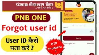 PNB  pnb one user id forgot  Pnb one user id kaise pata kare  PNB one user id bhul gaye