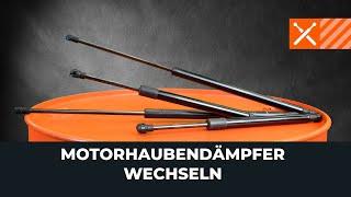 Gasdämpfer an der Motorhaube wechseln AUTODOC TUTORIAL