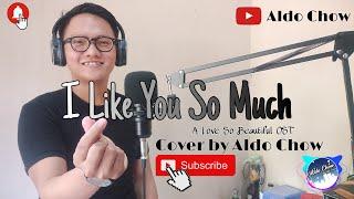 I like You So Much Youll Know It - A Love So Beautiful OST English Cover by Aldo Chow