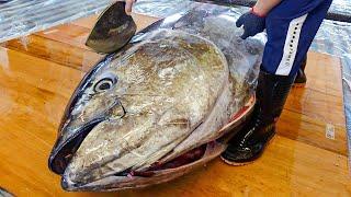 How to Quickly Cut a Bluefin Tuna in 5 Minute?  5分鐘切割巨大黑鮪魚 金三角拼盤 蜂巢黑鮪魚 ASMR