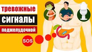 Сигналы SOS от поджелудочной железы или первые признаки панкреатита