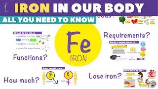 غذای غنی از آهن و نیاز روزانه  غذای غنی از آهن  غذای طبیعی غنی از آهن  نیاز روزانه به آهن