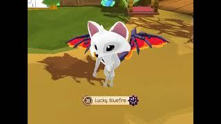 Animal jam  play wild sapphire codes?