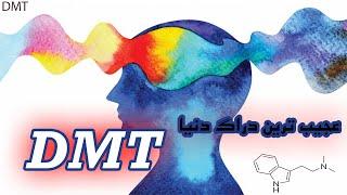 همه چیز در مورد DMT  شدیدترین توهم دنیا با دی ام تی