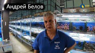 Человек который диктует цены на рыбок. Андрей Белов. Аквариумистика. Компания Наташа & Belov