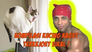 KUCING KAGET TERKEJOET NGAKAK KOCAK VIRAL