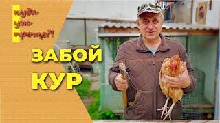 Как зарубить курицу забой кур в домашних условиях как рубить кур