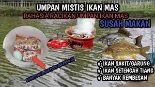 RACIKAN UMPAN IKAN MAS TERJITU TERGACOR  UMPAN IKAN MAS SUSAH MAKAN SETENGAH AIR & BANYAK REMBESAN