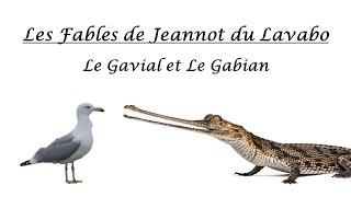 FICTION AUDIO  Le Gavial et Le Gabian Fable Originale