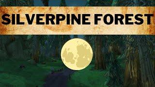 Silverpine Forest - Music & Ambience 100% - First Person Tour