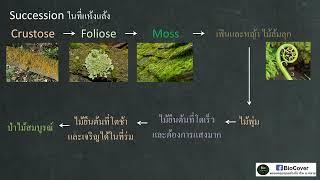 เฉลยข้อสอบเข้าค่าย สอวน ปี 62 ข้อ 76  การเปลี่ยนแปลงแทนที่แบบปฐมภูมิ