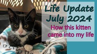 The Story of My Newest Foster Cat and Why I Think Supporting Rescues is Important.