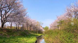 인천대공원 Incheon Grand Park